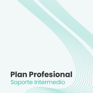 Plan profesional